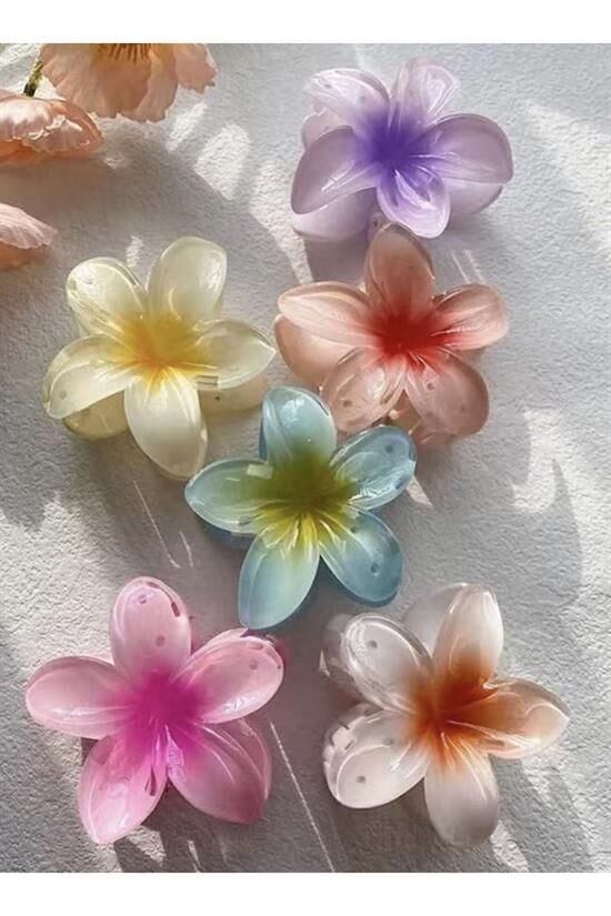Kadın Büyük Boy 6'Lı (8cm) Renkli Lotus Toka Seti