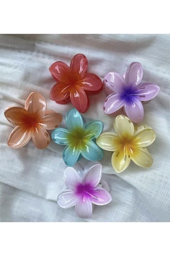 Kadın Büyük Boy 6'Lı (8cm) Renkli Lotus Toka Seti