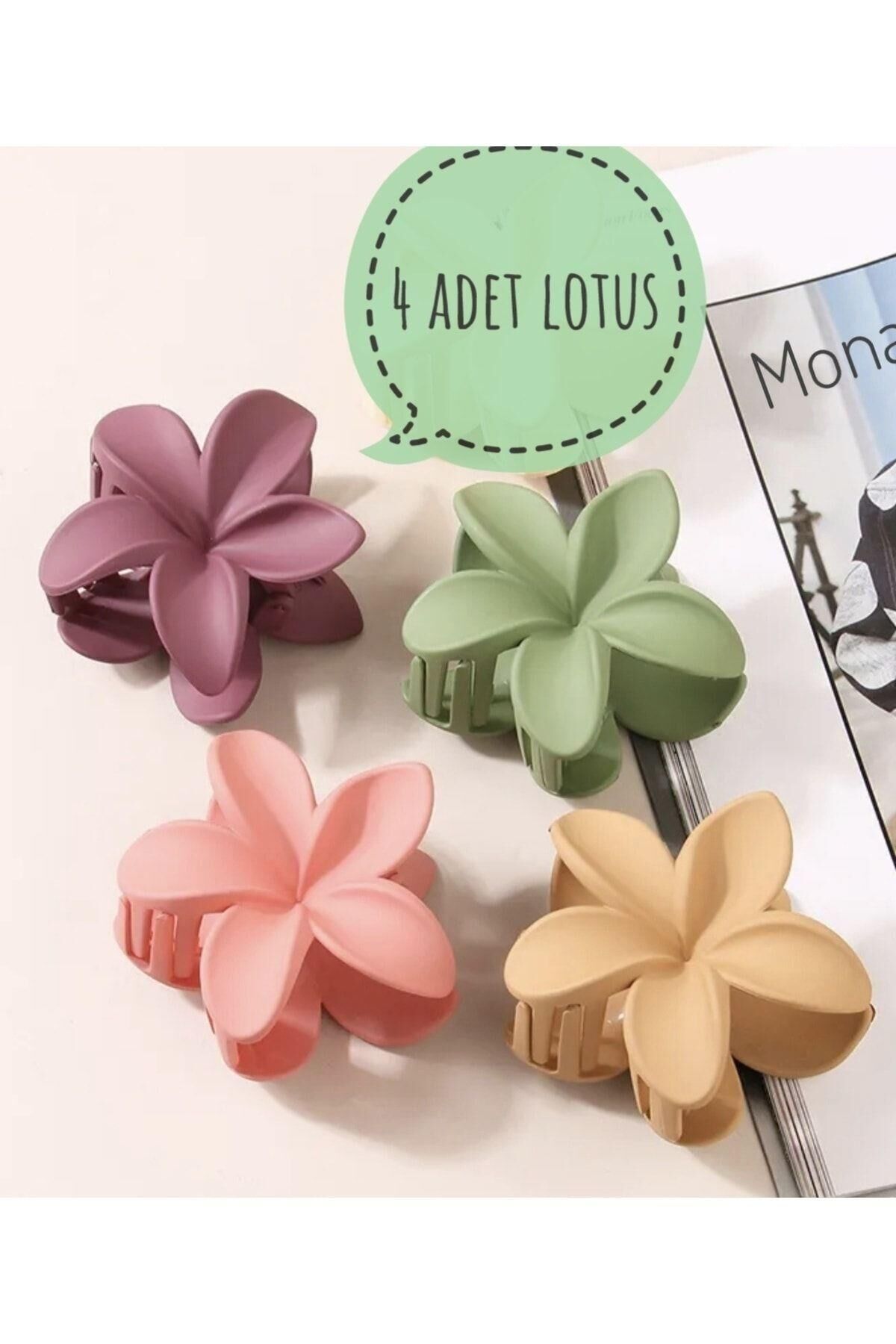Kadın 4, Lu Renkli Lotus Toka